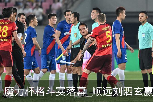 魔力杯格斗赛落幕 顺远刘泗玄赢下100公斤级