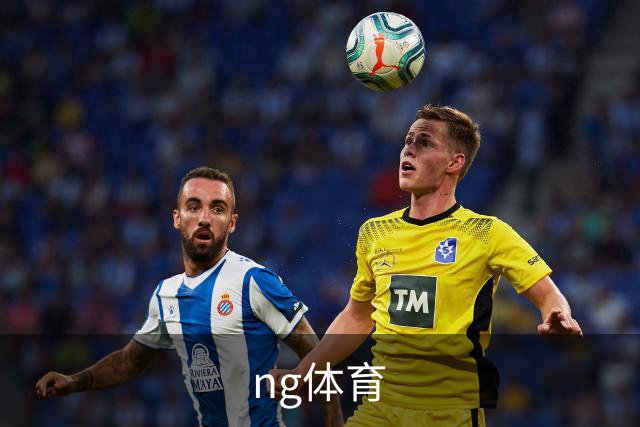 ng体育公司介绍图